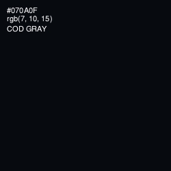 #070A0F - Cod Gray Color Image